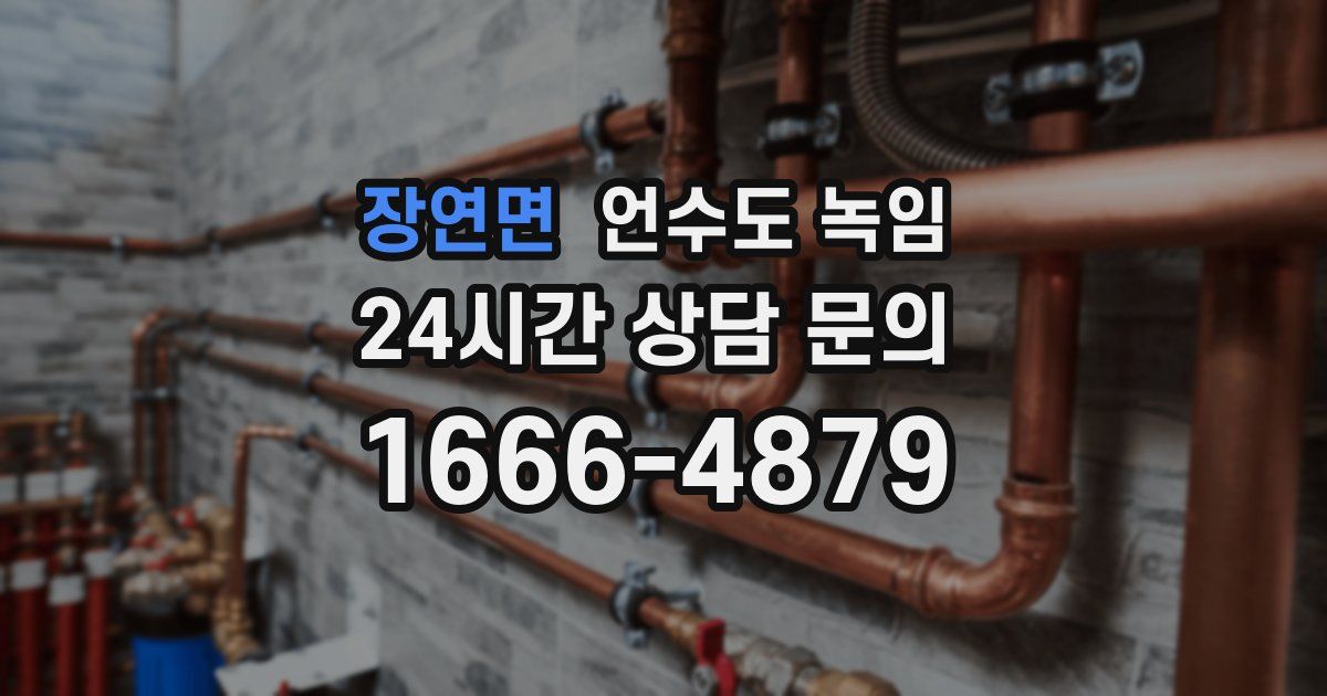 장연면 언수도 녹임