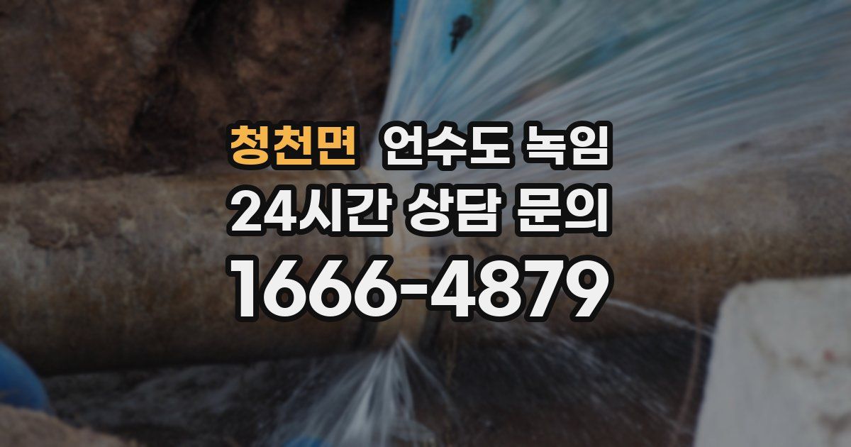 청천면 언수도 녹임