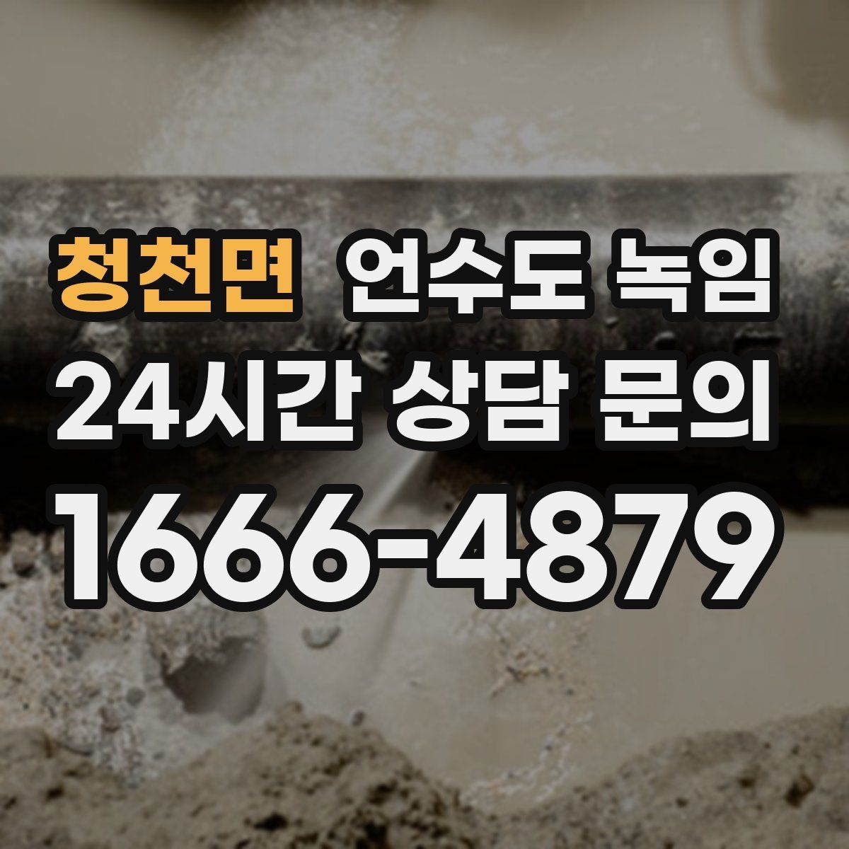 청천면 언수도 녹임