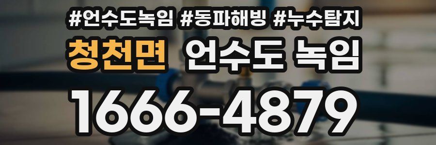 청천면 언수도 녹임