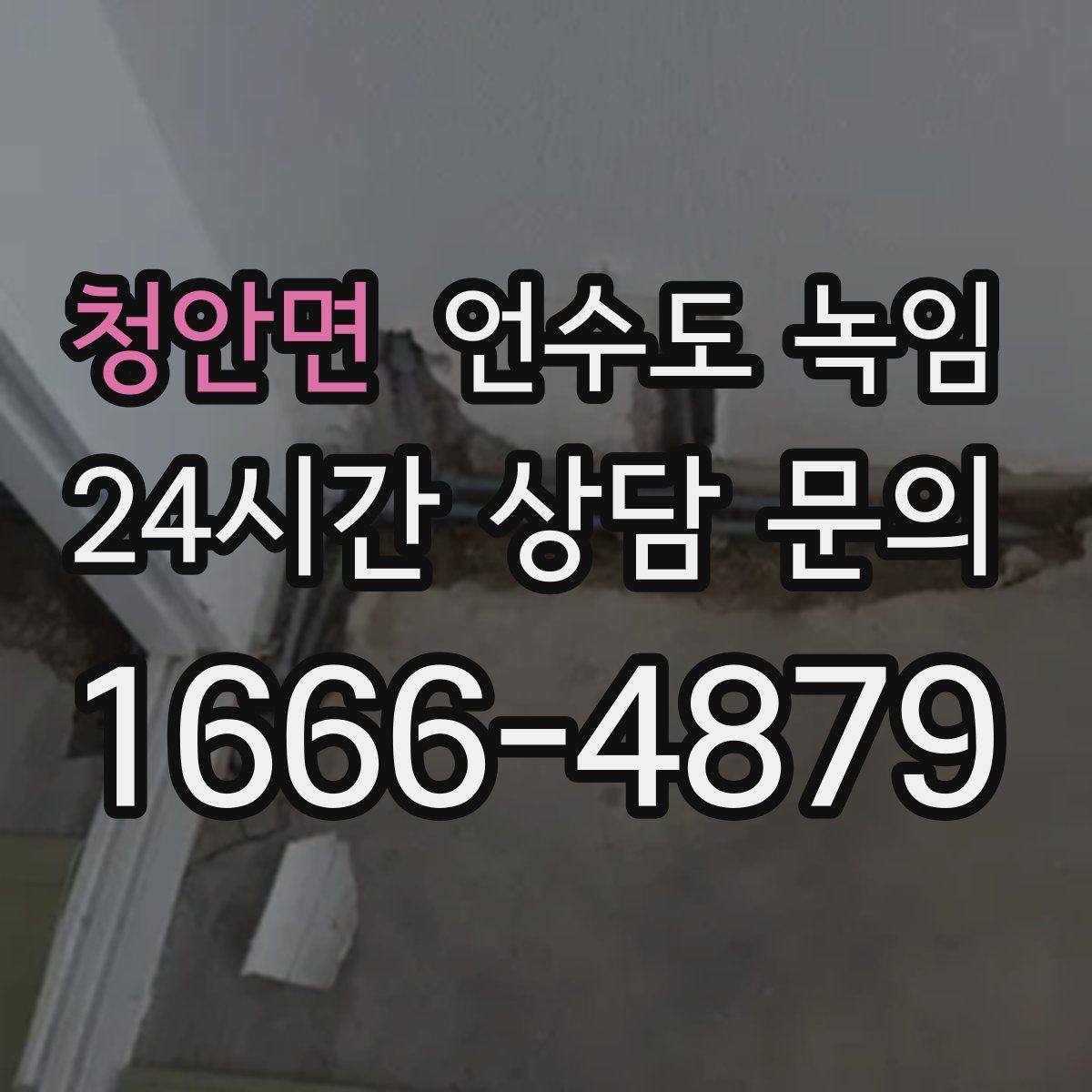 청안면 언수도 녹임