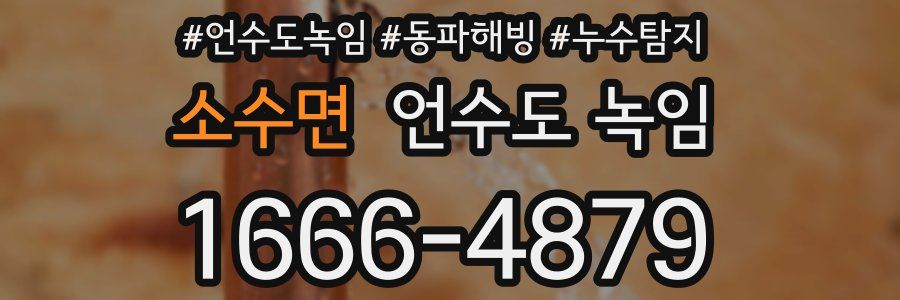 소수면 언수도 녹임