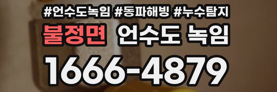 불정면 언수도 녹임