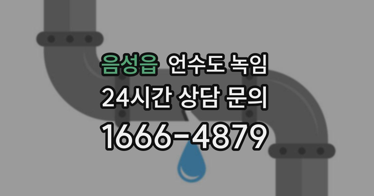 음성읍 언수도 녹임