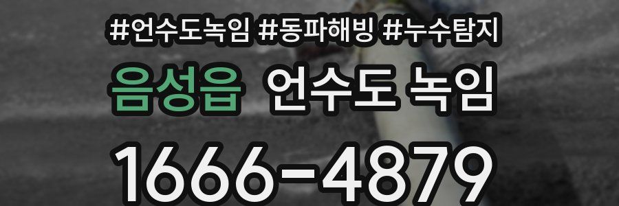 음성읍 언수도 녹임