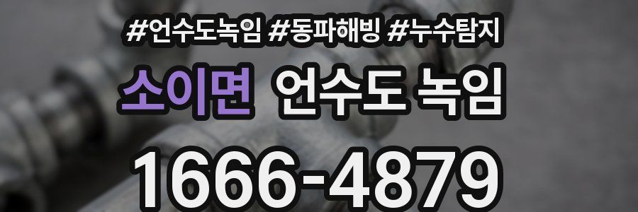 소이면 언수도 녹임