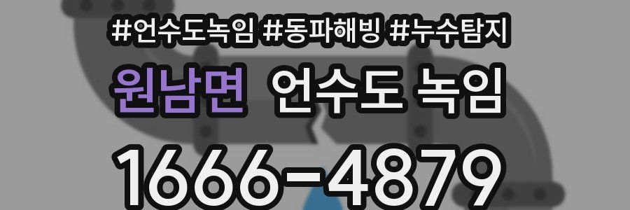 원남면 언수도 녹임