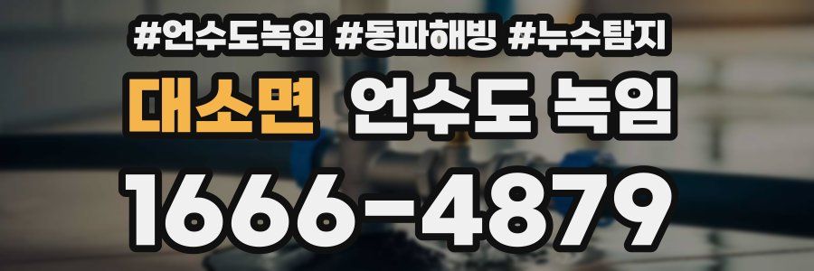 대소면 언수도 녹임