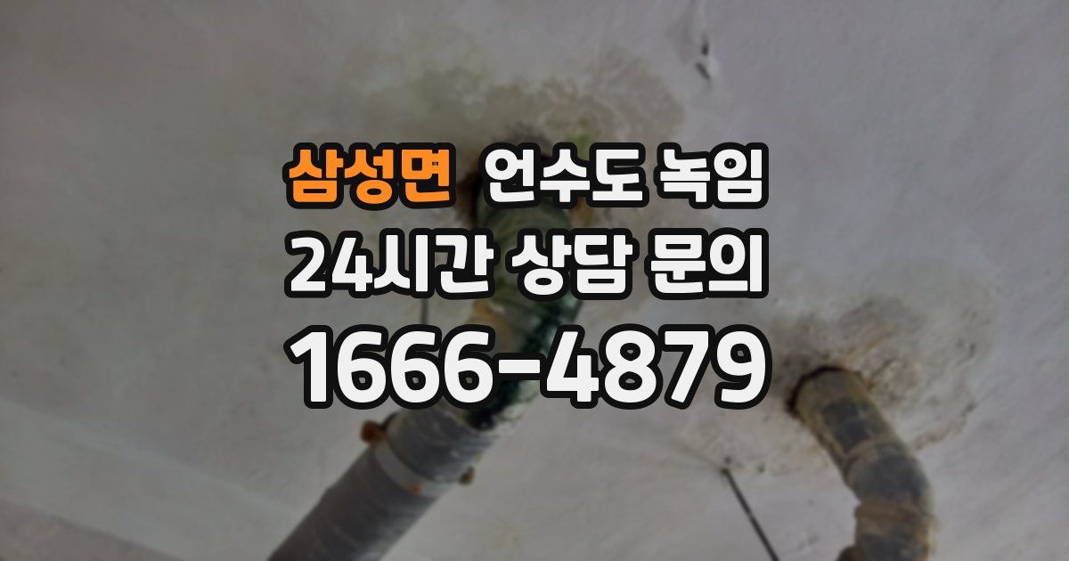 삼성면 언수도 녹임