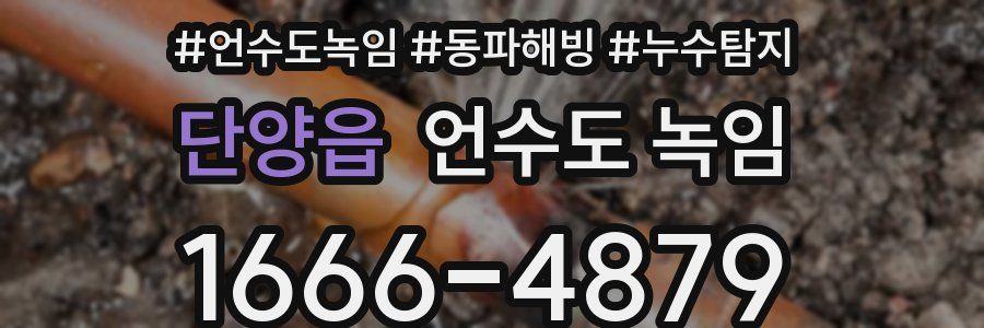 단양읍 언수도 녹임