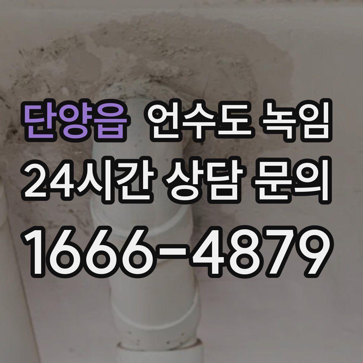 단양읍 언수도 녹임