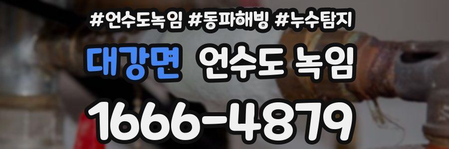 대강면 언수도 녹임