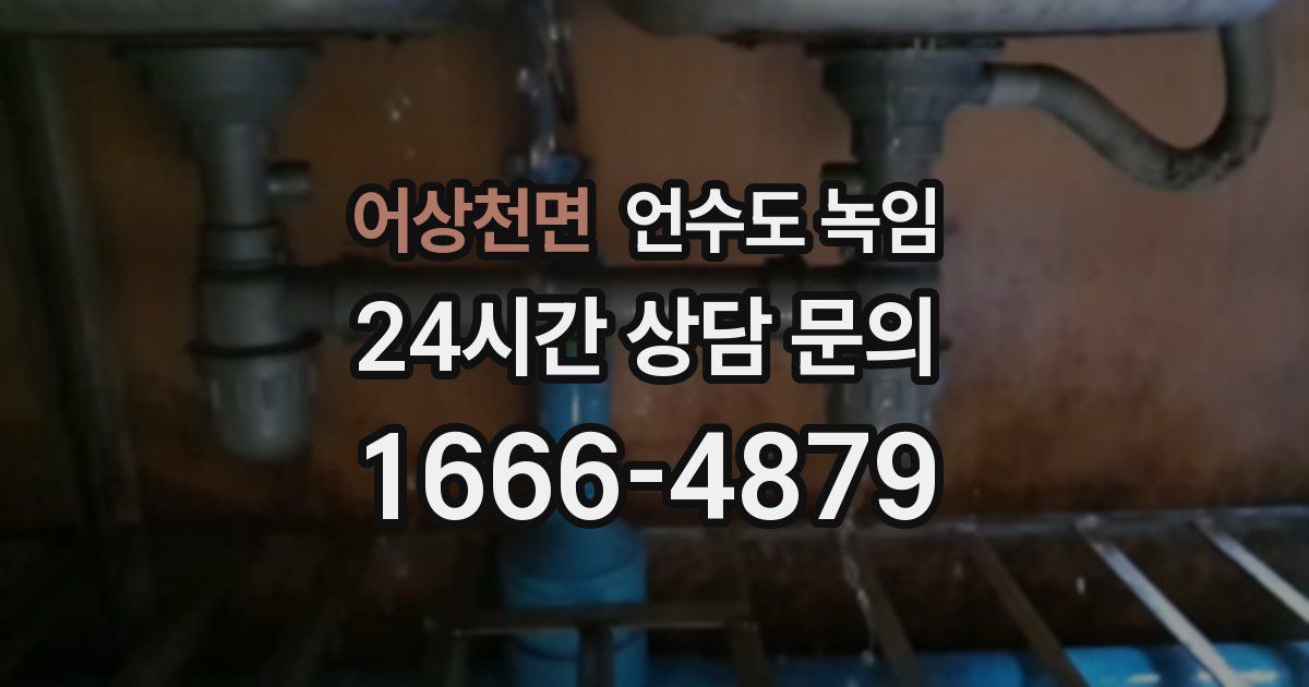 어상천면 언수도 녹임