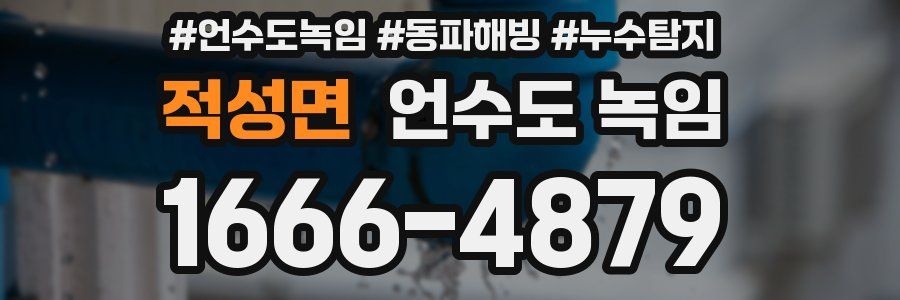 적성면 언수도 녹임