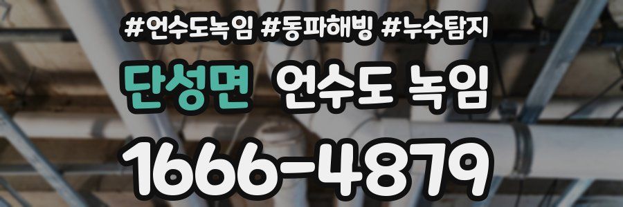 단성면 언수도 녹임