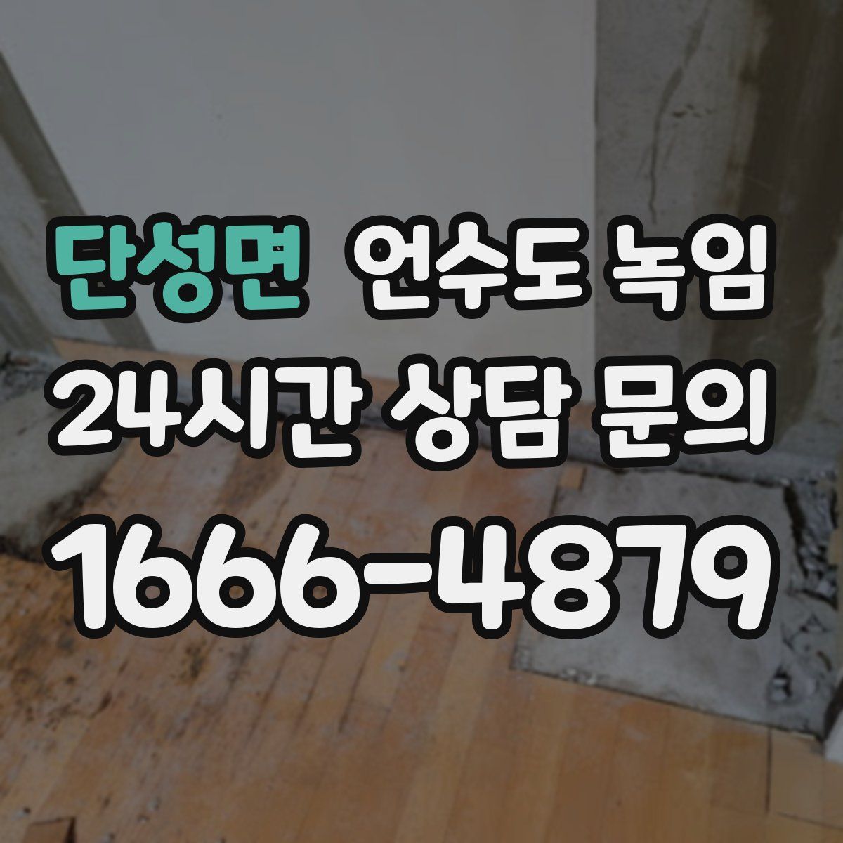 단성면 언수도 녹임