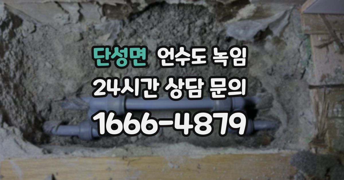 단성면 언수도 녹임