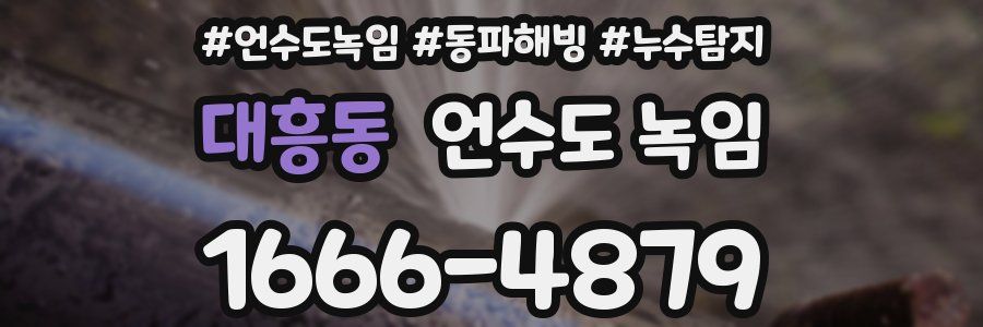 대흥동 언수도 녹임