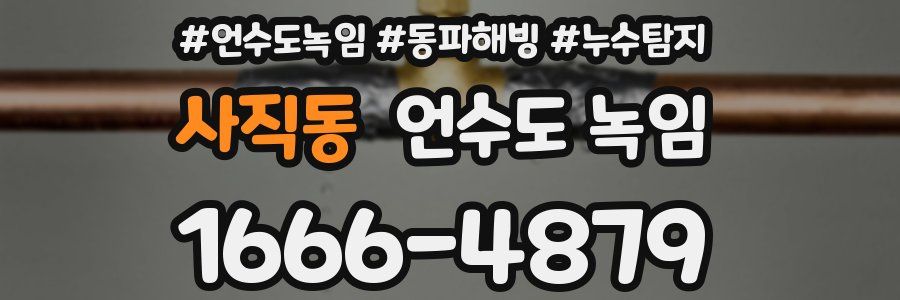 사직동 언수도 녹임