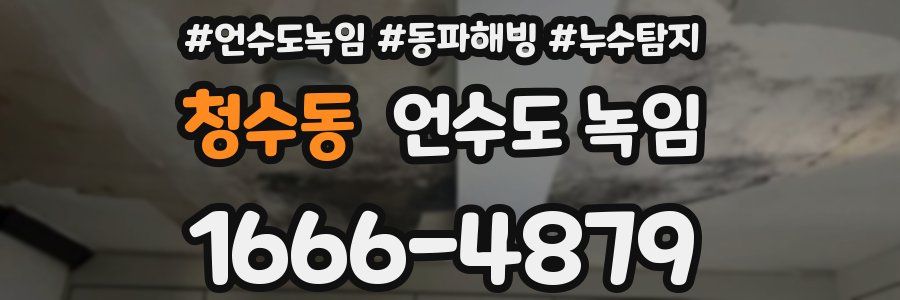 청수동 언수도 녹임