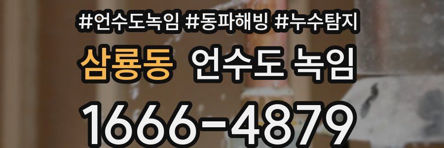 삼룡동 언수도 녹임