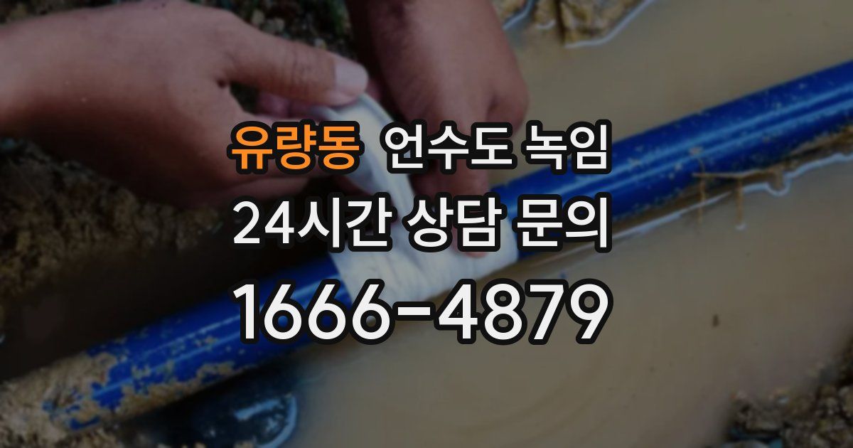유량동 언수도 녹임