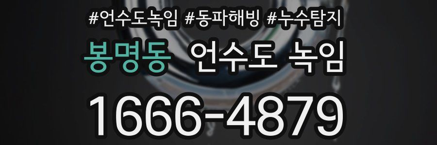 봉명동 언수도 녹임