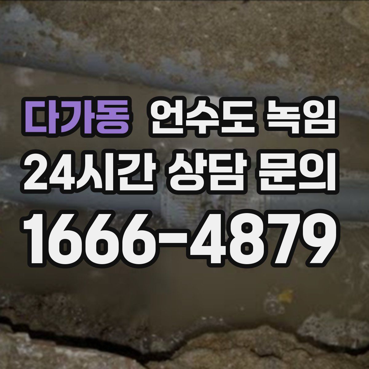 다가동 언수도 녹임