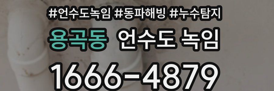 용곡동 언수도 녹임