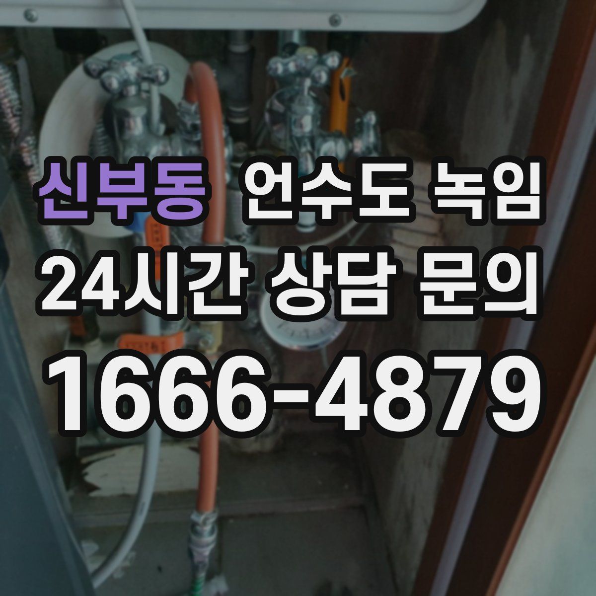 신부동 언수도 녹임