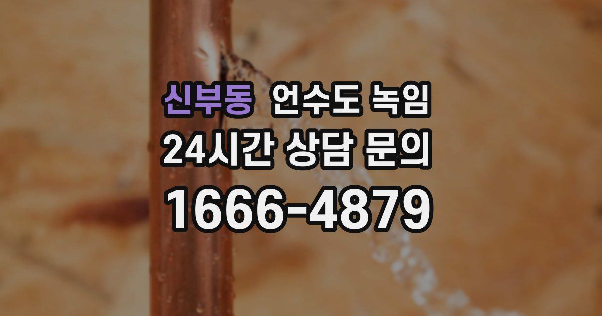 신부동 언수도 녹임