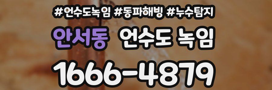 안서동 언수도 녹임