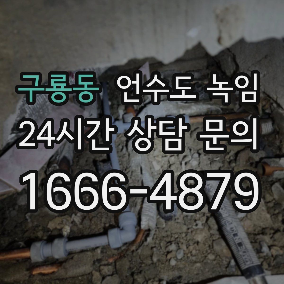 구룡동 언수도 녹임 해빙만 하고 끝내면 재발하는 이유