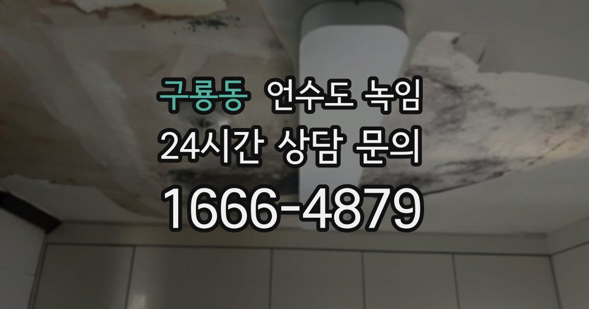 구룡동 언수도 녹임