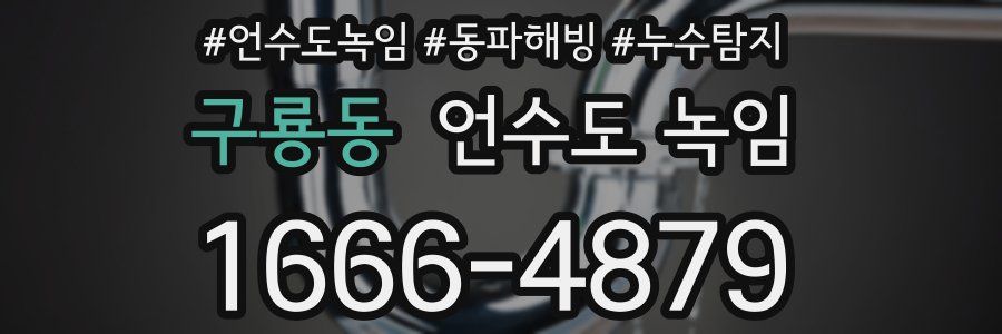 구룡동 언수도 녹임