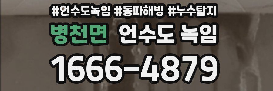 병천면 언수도 녹임