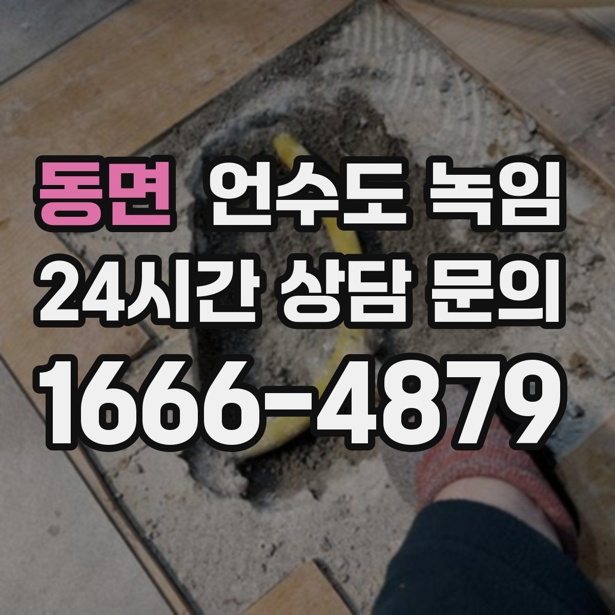 동면 언수도 녹임 해빙 후 탁탁 소리 나는 원인 정리