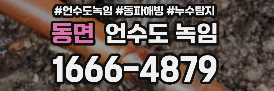 동면 언수도 녹임