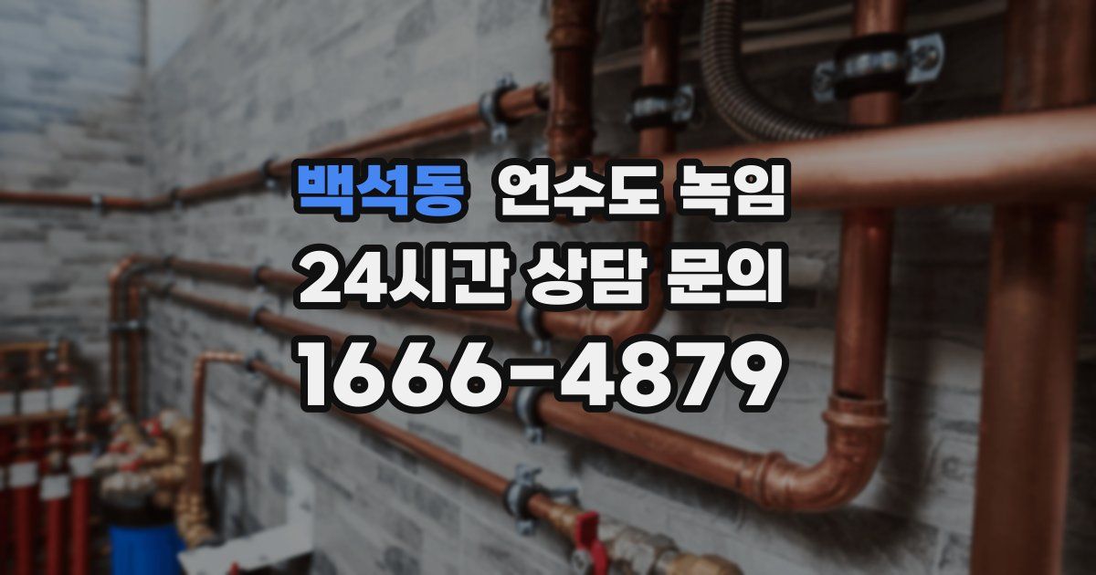 백석동 언수도 녹임