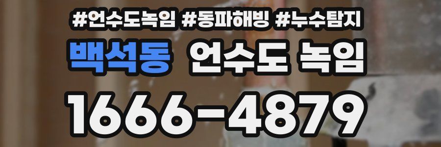 백석동 언수도 녹임