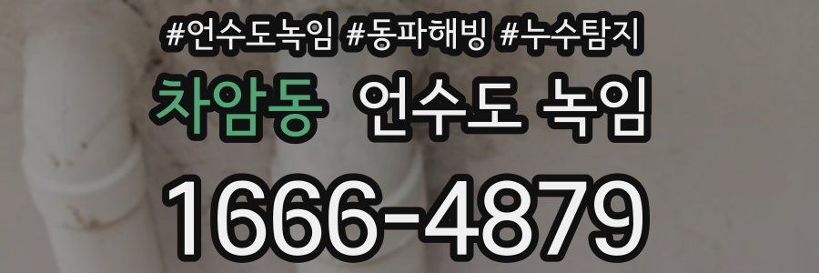 차암동 언수도 녹임