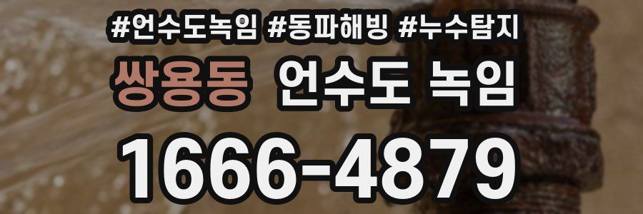 쌍용동 언수도 녹임