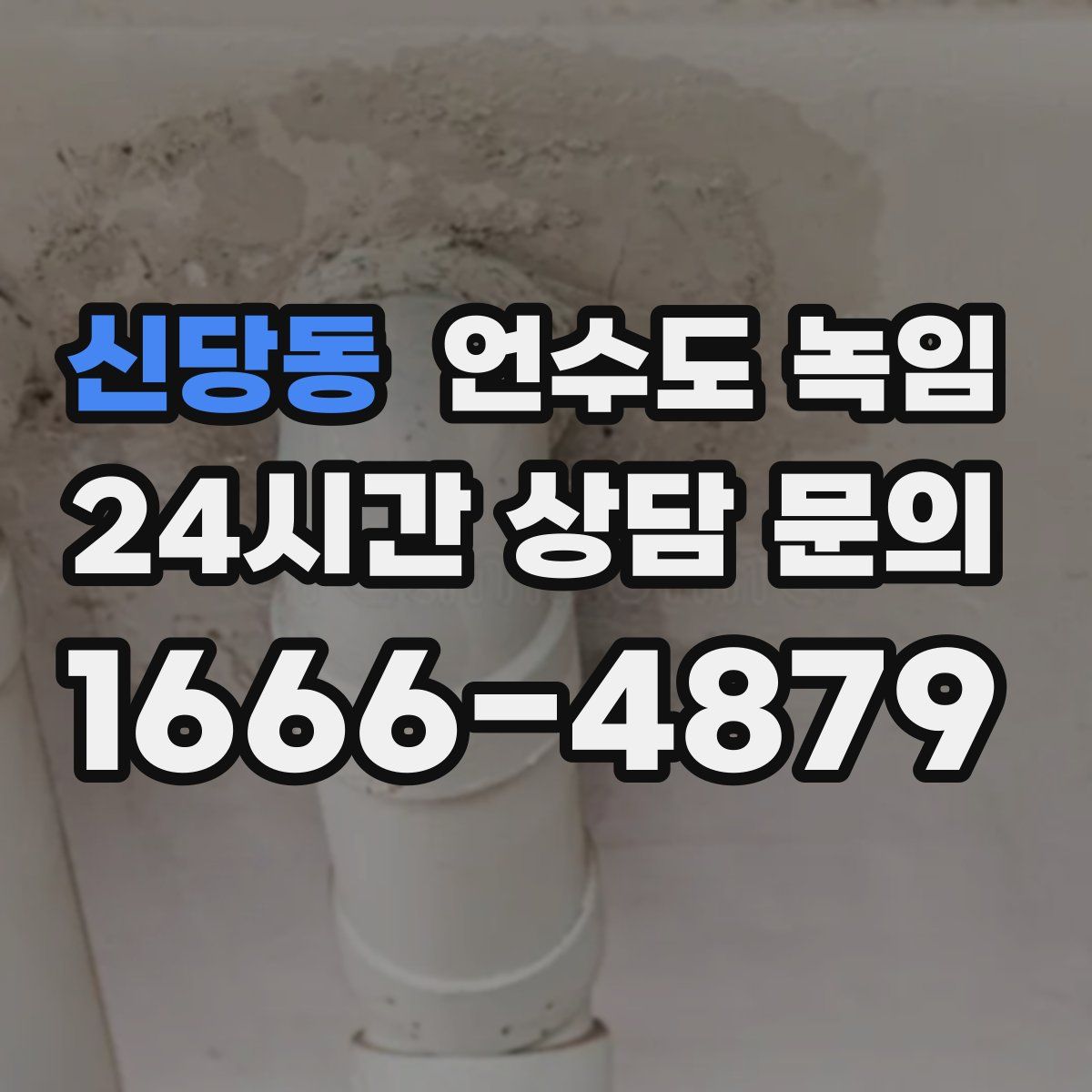 신당동 언수도 녹임