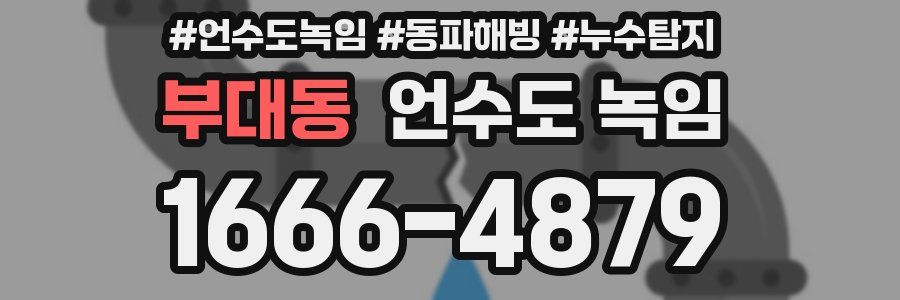 부대동 언수도 녹임