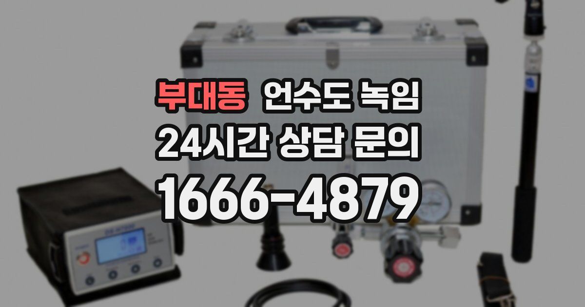 부대동 언수도 녹임
