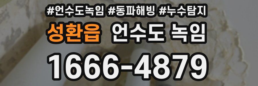 성환읍 언수도 녹임