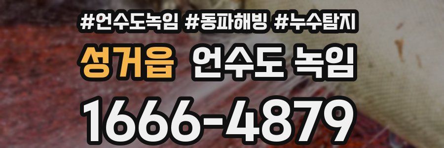 성거읍 언수도 녹임