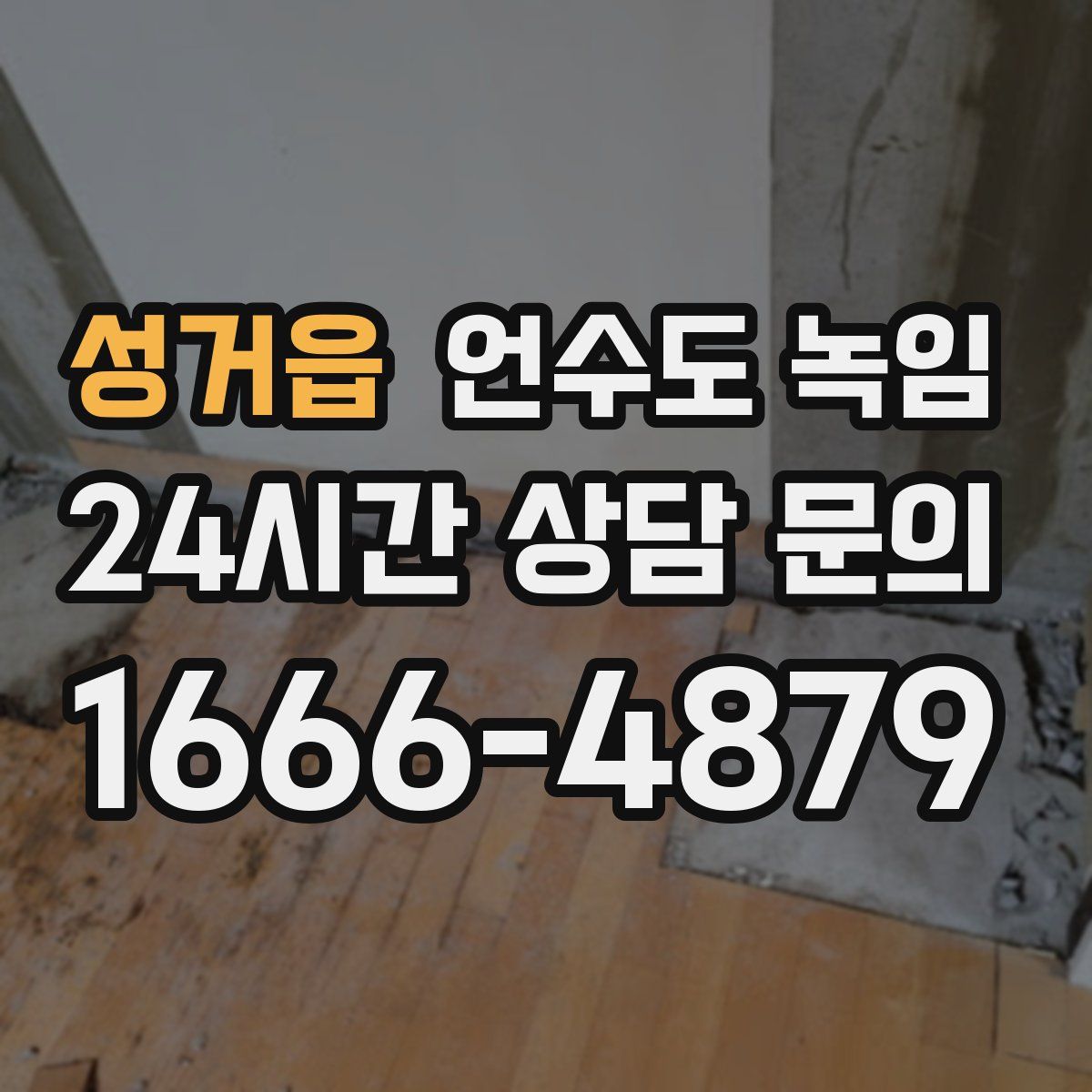 성거읍 언수도 녹임