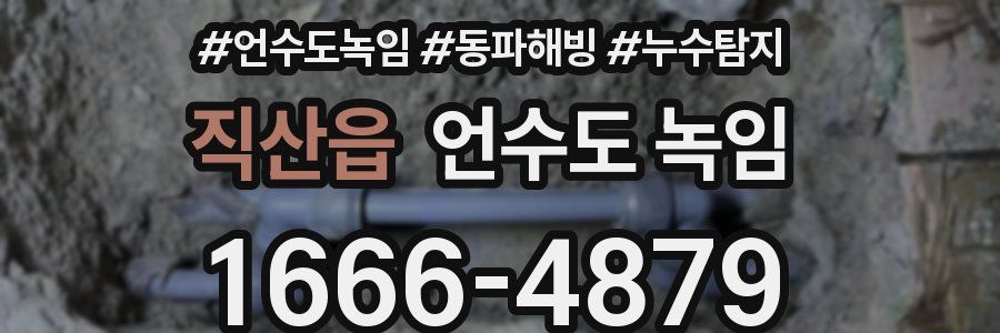 직산읍 언수도 녹임