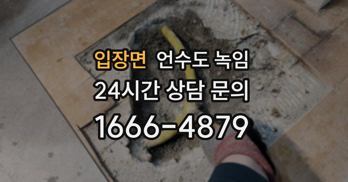 입장면 언수도 녹임